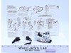 Groove Defensor 100% Complete 1986 G1 Transformers Action Figure