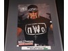 Hulk Hogan NWO & Sting WWF Wrestling 1992 Double Sided Poster 23x16