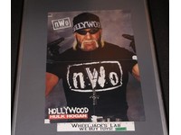 Hulk Hogan NWO & Sting WWF Wrestling 1992 Double Sided Poster 23x16