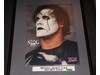 Hulk Hogan NWO & Sting WWF Wrestling 1992 Double Sided Poster 23x16