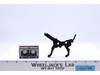 Ravage Cassette 100% Complete KO Vintage Action Figure