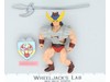 Sun Hawk Galaxy Fighters MOTU KO 1987 100% Complete Sewco Vintage Figures