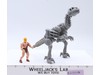 Dynacus W/ Zur 100% Complete Bone Age 1988 Kenner Vintage Action Figure