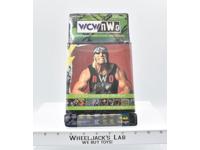 Hogan Nash Hall Decorative Boarder 1999 Village WCW NWO NIP