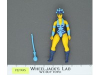 Evil Lyn 100% Complete He-Man Masters Of The Universe MOTU 1983 Mattel Vintage