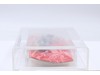 Hawk Mail Away Red Back CAS GRADED 90 GI Joe 1983 Hasbro NEW SEALED