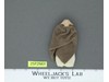 Squid Head 100% Complete Star Wars ROTJ 1983 Vintage Kenner Figure NO REPRO
