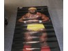 Hulk Hogan Hulkamania Original WWF Wrestling Life-Size Door Poster 74x26