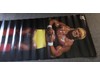 Hulk Hogan Hulkamania Original WWF Wrestling Life-Size Door Poster 74x26