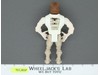 The Wolfman Monster FIRST SHOT PROTOTYPE The Real Ghostbusters 1989 Figure