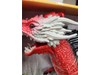 Remote Control Wild World Roaring Dragon Walks Flaps Wings Vapor Light Up NEW