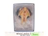 #33 Cardassian Hideki Class Star Trek 2014 Eaglemoss Vehicle NEW MIB