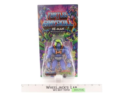 He-Man Turtles of Grayskull TMNT 2024 Mattel Action Figure NEW SEALED