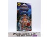 Teela Masters of the Universe Cartoon 2023 Mattel Action Figure NEW SEALED