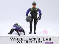 Commander Waspax & Wingid Sectaurs Warriors of Symbion Coleco 1984 Action Figure