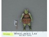 Gamorrean Guard 100% Complete Star Wars 1983 Vintage Kenner Figure NO REPRO