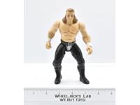Triple H Wrestling Action Figure 1998 Jakks Titan Sports WWF WWE