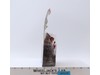 Starscream Transformers Prime Beast Hunters 2012 Hasbro Action Figure NEW SEALED
