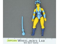 Evil Lyn 100% Complete He-Man Masters Of The Universe MOTU 1983 Mattel Vintage
