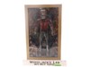 MMS614 Shang-Chi 2022 Hot Toys 1/6 Scale Action Figure NEW MIB