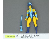 Evil Lyn 100% Complete He-Man Masters Of The Universe MOTU 1983 Mattel Vintage