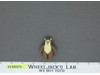 Wicket Ewok Star Wars ROTJ 1984 Kenner Vintage Action Figure No Repro