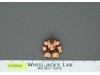 #65 Tanglin' Pangolin Battle Beasts 1987 Hasbro Vintage Action Figure