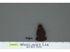 Jawa 100% Complete Star Wars 1977 Vintage Kenner Action Figure NO REPRO