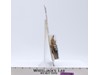 Teebo Ewok 77 Back-A Star Wars ROTJ 1984 Kenner Figure NEW MOSC SEALED