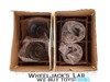 Dr. Doctor Who Set of 4 Glasses 1989 BBC 6.5" Tall W/ Original Mailer Box