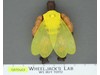 Buzz-Off He-Man Masters of the Universe MOTU Mattel 1984 Vintage Action Figure
