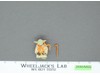 Yoda W/Orange Snake 100% Complete Star Wars ESB 1980 Vintage Kenner NO REPRO