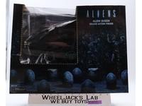 Alien Queen Aliens 2014 NECA Deluxe Action Figure NEW MISB SEALED