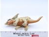 Chasmasaurus Electronic Attack Roar JP21 Jurassic Park 1997 Kenner Figure WORKS!