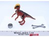 Pachycephalosaurus JP14 Ram Head Jurassic Park 1993 Kenner Action Figure