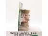 Luke Skywalker in Bacta Tank Star Wars Power of the Jedi 2001 Hasbro NEW SEALED
