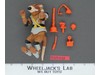 Creepy Crawlin Splinter WORKS 100% Complete Wacky Action TMNT 1990 Playmates