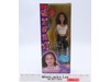 DREAM Girl Band Ashley Melissa Holly & Diana 2001 11.5" Play Along Dolls SET
