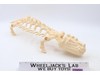 Battle Bones Complete He-Man Masters of the Universe MOTU 1985 Mattel Vehicle