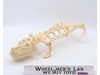 Battle Bones Complete He-Man Masters of the Universe MOTU 1985 Mattel Vehicle