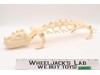 Battle Bones Complete He-Man Masters of the Universe MOTU 1985 Mattel Vehicle