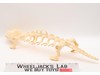 Battle Bones Complete He-Man Masters of the Universe MOTU 1985 Mattel Vehicle