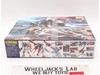 MG GAT-X105 Aile Strike Gundam 2013 Bandai 1/100 Kit NEW MISB SEALED