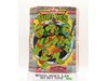 Deluxe Collectors Carry Case W/Trays TMNT Teenage Mutant Ninja Turtles Tara Toy