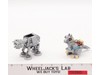 #75298 AT-AT vs Tauntaun Microfighters 100% Complete W/ Box Lego 2021 Star Wars