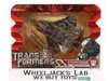 Starscream Transformers Revenge of the Fallen 2008 Hasbro Figure NEW SEALED
