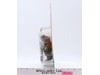 Leonardo Ninja Knights Teenage Mutant Ninja Turtles TMNT 2004 MOSC SEALED