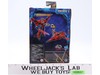Cyberverse Universe Windblade Transformers Legacy United 2024 Hasbro NEW SEALED