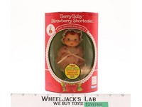 Berry Baby Strawberry Shortcake Drinks Wets 1984 Kenner Vintage Doll NEW MISB