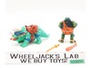 Cave Turtle Leo W/ Dingy Dino 100% Complete TMNT 1992 Playmates Action Figure